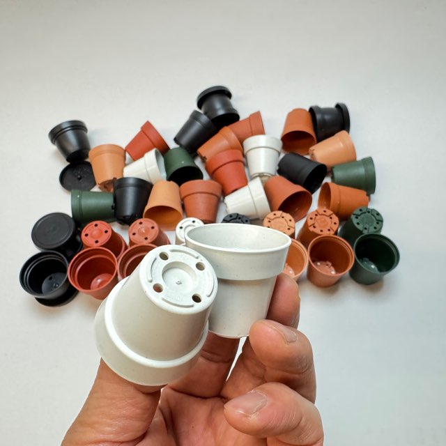 1号プラ鉢-白(W＊ホワイト)-超ミニサイズ(1号鉢1寸鉢一寸鉢)＠多肉植物