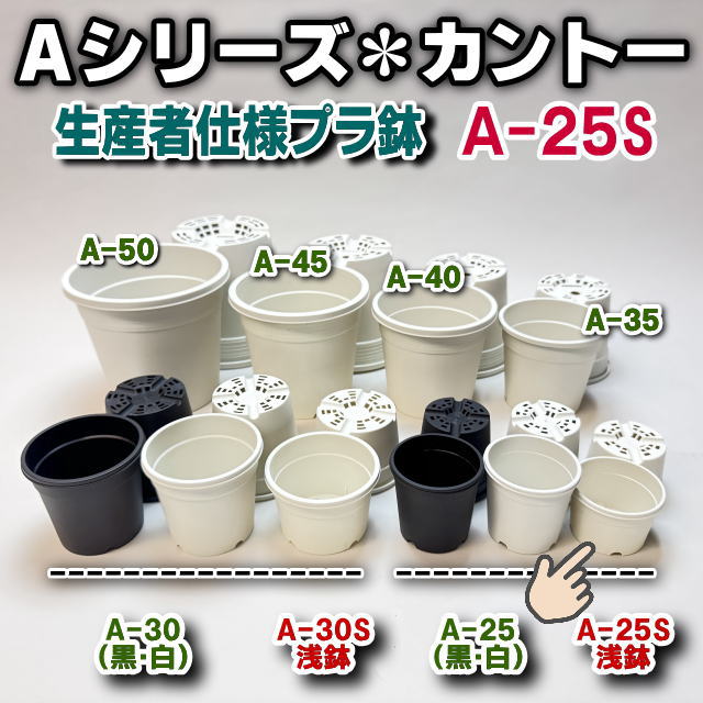 生産者仕様[カントー]プラ鉢A-25S-(2号浅鉢相当：浅型)-白[w][254GW]