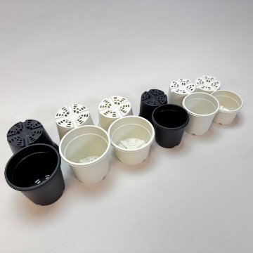 生産者仕様[カントー]浅＊プラ鉢A-25S-(2号浅鉢相当：浅型)-白[w]＊多肉に特化した浅鉢で用土量を抑え乾燥気味に管理可能[254GW]の画像