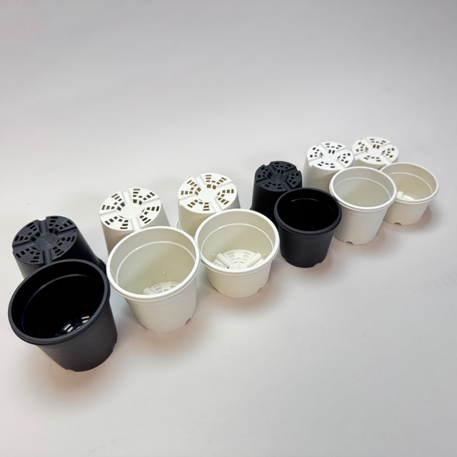 生産者仕様[カントー]浅＊プラ鉢A-30S-(2.5号浅鉢相当：浅型)-白[w]多肉植に特化した浅鉢で用土量を抑え乾燥気味に管理可能[254GW]の画像