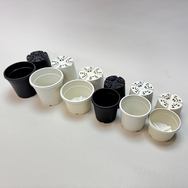 生産者仕様[カントー]浅＊プラ鉢A-30S-(2.5号浅鉢相当：浅型)-白[w]多肉植に特化した浅鉢で用土量を抑え乾燥気味に管理可能[254GW]の画像