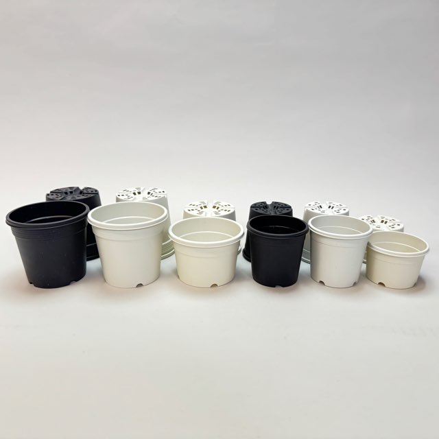 生産者仕様[カントー]浅＊プラ鉢A-30S-(2.5号浅鉢相当：浅型)-白[w]多肉植に特化した浅鉢で用土量を抑え乾燥気味に管理可能[254GW]の画像