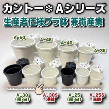 生産者仕様[カントー]浅＊プラ鉢A-30S-(2.5号浅鉢相当：浅型)-白[w]多肉植に特化した浅鉢で用土量を抑え乾燥気味に管理可能[254GW]の画像