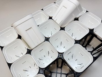プレステラ深鉢専用★-105対応四角枠トレイ：20鉢用(黒)＋プレステラ深鉢105-白☆(トレイ1枚＋20鉢付きで1セット)[254GW]の画像