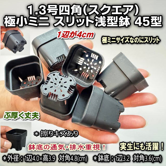黒＊1.3号四角(一辺4cmスリット鉢で最小スクエア)極小ミニスリット浅型鉢45型-黒★ぶ厚い高機能ミニプラ鉢※鉢底の通気・排水重視※擦傷テカリあり＊1号・1.3号鉢対応トレイあり※プレステラ系の画像
