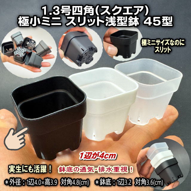 黒＊1.3号四角(一辺4cmスリット鉢で最小スクエア)極小ミニスリット浅型鉢45型-黒★ぶ厚い高機能ミニプラ鉢※鉢底の通気・排水重視※擦傷テカリあり＊1号・1.3号鉢対応トレイあり※プレステラ系の画像