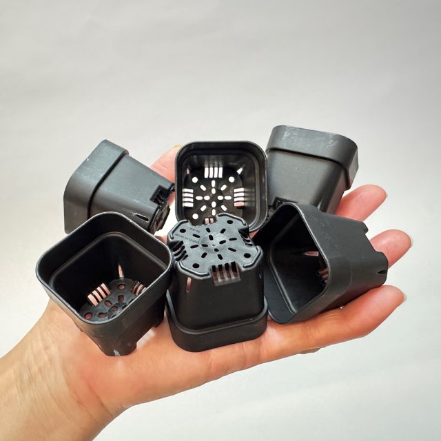 1.3号四角(一辺4cmスリット鉢で最小スクエア)極小ミニスリット浅型鉢45