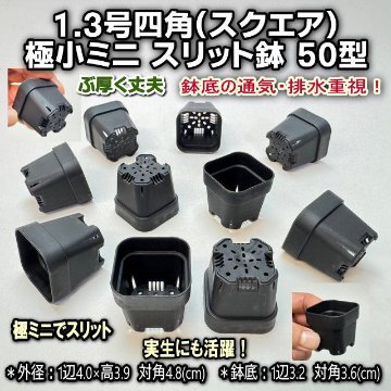 黒＊1.3号四角(一辺4cmスリット鉢で最小スクエア)極小ミニスリット浅型鉢45型-黒★ぶ厚い高機能ミニプラ鉢※鉢底の通気・排水重視※擦傷テカリあり＊1号・1.3号鉢対応トレイあり※プレステラ系の画像