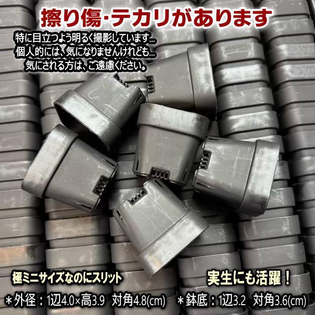 1号プラ鉢ぴったり整理トレイ：深型-薄(ソフト)＋1.3号四角極小ミニスリット浅型鉢45型-黒(トレイ1枚＋36鉢付きで1セット)の画像