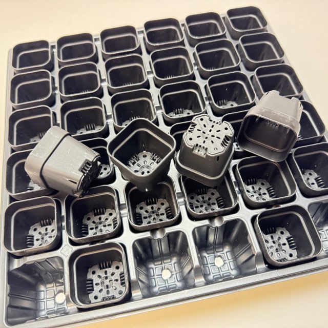 1号プラ鉢ぴったり整理トレイ：深型-薄(ソフト)＋1.3号四角極小ミニスリット浅型鉢45型-黒(トレイ1枚＋36鉢付きで1セット)の画像