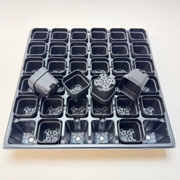 1号プラ鉢ぴったり整理トレイ：深型-薄(ソフト)＋1.3号四角極小ミニスリット浅型鉢45型-黒(トレイ1枚＋36鉢付きで1セット)の画像