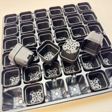1号プラ鉢ぴったり整理トレイ：深型-薄(ソフト)＋1.3号四角極小ミニスリット浅型鉢45型-黒(トレイ1枚＋36鉢付きで1セット)の画像