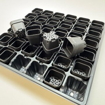 1号プラ鉢ぴったり整理トレイ：深型-薄(ソフト)＋1.3号四角極小ミニスリット浅型鉢45型-黒(トレイ1枚＋36鉢付きで1セット)の画像