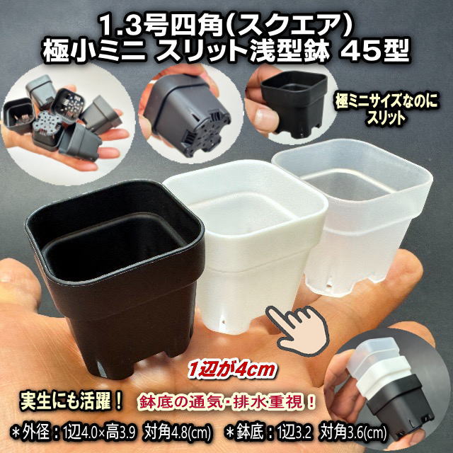 白＊1.3号四角(一辺4cmスリット鉢で最小スクエア)極小ミニスリット浅型鉢45型-白☆厚い高機能ミニプラ鉢※鉢底の通気・排水重視＊1号・1.3号鉢対応トレイあり※プレステラ系の画像