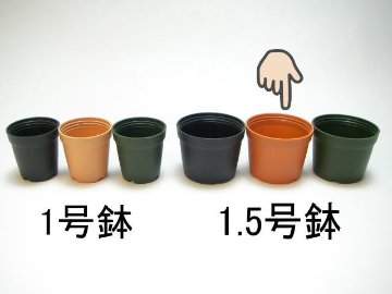 1.5号プラ鉢-茶 超ミニサイズ画像