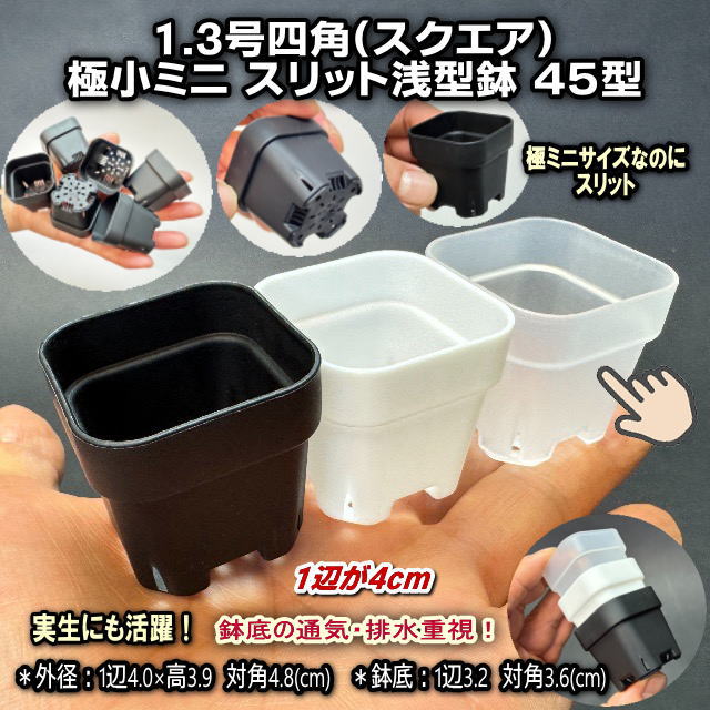 半透明＊1.3号四角(一辺4cmスリット鉢で最小スクエア)極小ミニスリット浅型鉢45型-半透明(クリアー)ぶ厚い高機能ミニプラ鉢※鉢底の通気・排水重視＊1号・1.3号鉢対応トレイあり※プレステラ系の画像