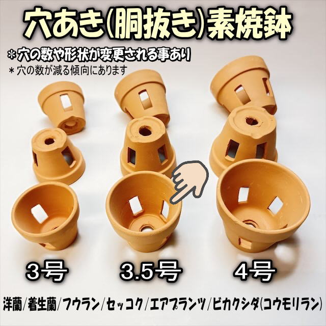 R8/9/14少量入荷！(新)側面穴4ヶ所タイプ＊穴あき(胴抜き)素焼鉢-3.5号[長四角形穴]洋蘭/着生蘭/フウラン/セッコク/エアプランツ/ビカクシダ1鉢売※多少の欠け凹みご容赦を!の画像