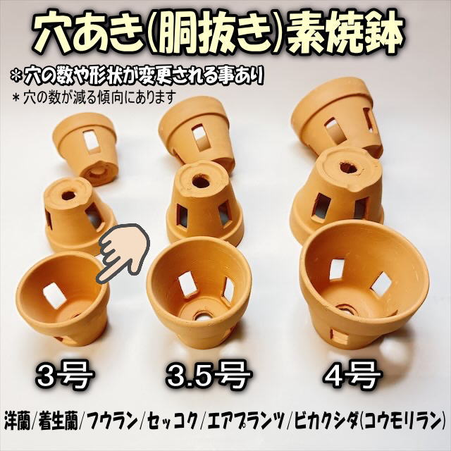 R8/8/18少量入荷！(新)側面穴3ヶ所タイプ＊穴あき(胴抜き)素焼鉢-3号[長四角形穴]洋蘭/着生蘭/フウラン/セッコク/エアプランツ/ビカクシダ1鉢売※多少の欠け凹みご容赦を!の画像