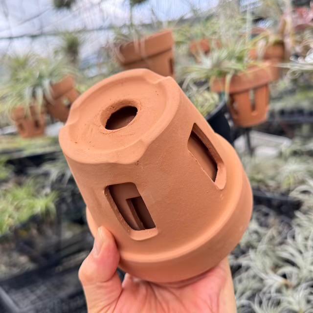 R8/8/18少量入荷！(新)側面穴3ヶ所タイプ＊穴あき(胴抜き)素焼鉢-3号[長四角形穴]洋蘭/着生蘭/フウラン/セッコク/エアプランツ/ビカクシダ1鉢売※多少の欠け凹みご容赦を!の画像