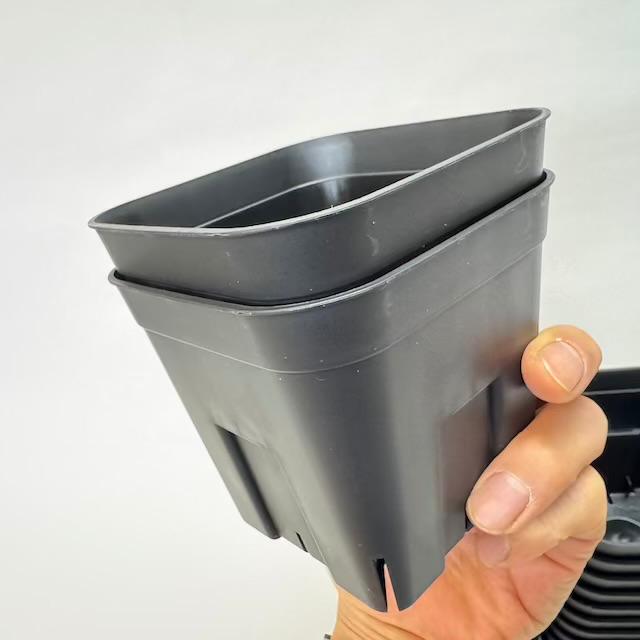 (新)プレステラ120標準鉢(浅型鉢)-(硬質スリットポット4号)-黒[四角]●＠多肉植物・塊根植物・バラ鉢・果樹鉢・アガベ[254GB]の画像