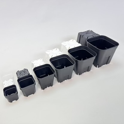 (新)プレステラ120標準鉢(浅型鉢)-(硬質スリットポット4号)-黒[四角]●＠多肉植物・塊根植物・バラ鉢・果樹鉢・アガベ[254GB]の画像
