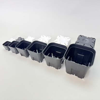 (新)プレステラ120標準鉢(浅型鉢)-(硬質スリットポット4号)-黒[四角]●＠多肉植物・塊根植物・バラ鉢・果樹鉢・アガベ[254GB]の画像