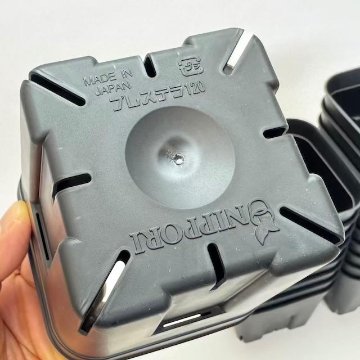(新)プレステラ120標準鉢(浅型鉢)-(硬質スリットポット4号)-黒[四角]●＠多肉植物・塊根植物・バラ鉢・果樹鉢・アガベ[254GB]の画像