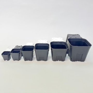 (新)プレステラ120標準鉢(浅型鉢)-(硬質スリットポット4号)-黒[四角]●＠多肉植物・塊根植物・バラ鉢・果樹鉢・アガベ[254GB]の画像