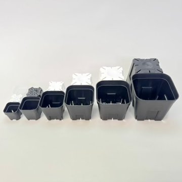(新)プレステラ120標準鉢(浅型鉢)-(硬質スリットポット4号)-黒[四角]●＠多肉植物・塊根植物・バラ鉢・果樹鉢・アガベ[254GB]の画像
