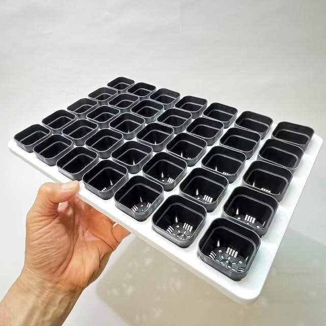 ミニプラ鉢1号・1.3号鉢対応-白色ミニトレイ-35(5×7)鉢用＊(約)A4サイズ相当※1枚売＊多肉・塊根植物・アガベ・ハオルチア・アデニウム・パキポディウム・実生の画像