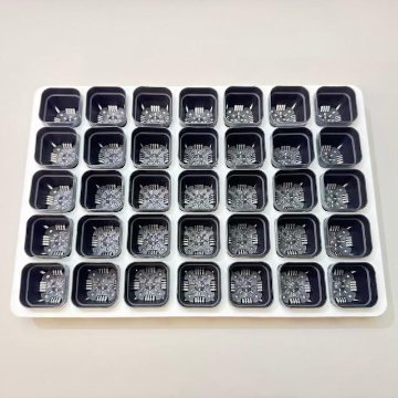 ミニプラ鉢1号・1.3号鉢対応-白色ミニトレイ-35(5×7)鉢用＊(約)A4サイズ相当※1枚売＊多肉・塊根植物・アガベ・ハオルチア・アデニウム・パキポディウム・実生の画像
