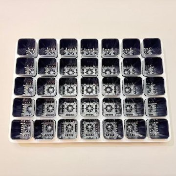 ミニプラ鉢1号・1.3号鉢対応-白色ミニトレイ-35(5×7)鉢用＊(約)A4サイズ相当※1枚売＊多肉・塊根植物・アガベ・ハオルチア・アデニウム・パキポディウム・実生の画像