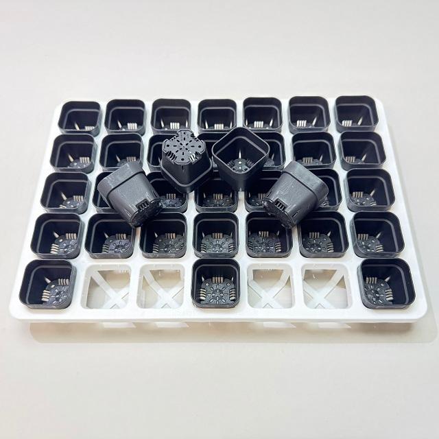ミニプラ鉢1号・1.3号鉢対応-白色ミニトレイ-35(5×7)鉢用＋1.3号四角極小ミニスリット浅型鉢45型-黒※擦り傷テカリ有(トレイ1枚＋35鉢付きで1セット)の画像