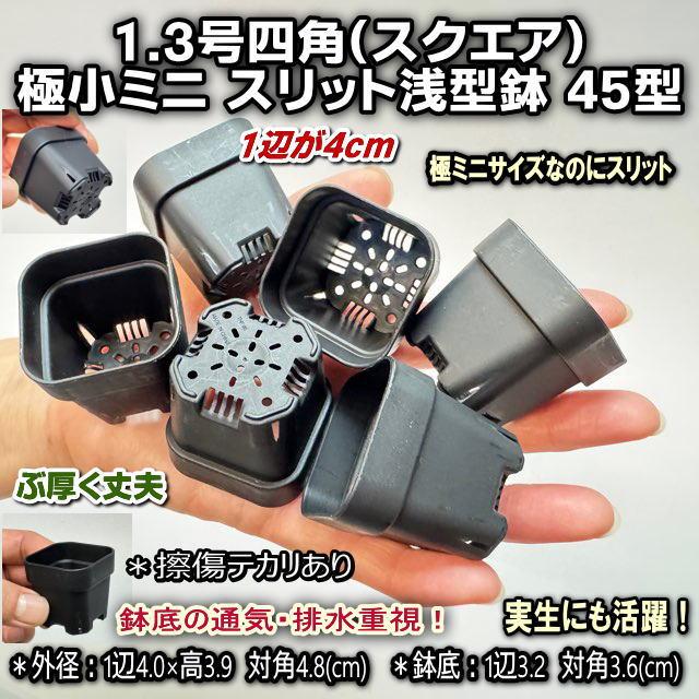 ミニプラ鉢1号・1.3号鉢対応-白色ミニトレイ-35(5×7)鉢用＋1.3号四角極小ミニスリット浅型鉢45型-黒※擦り傷テカリ有(トレイ1枚＋35鉢付きで1セット)の画像