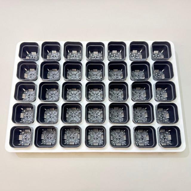ミニプラ鉢1号・1.3号鉢対応-白色ミニトレイ-35(5×7)鉢用＋1.3号四角極小ミニスリット浅型鉢45型-黒※擦り傷テカリ有(トレイ1枚＋35鉢付きで1セット)の画像