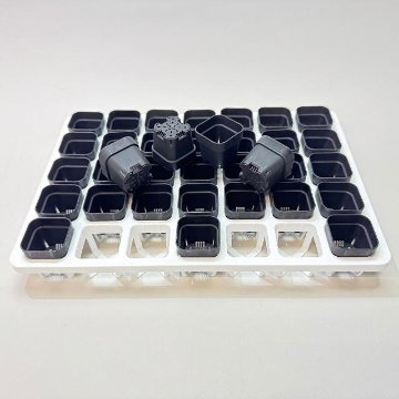 ミニプラ鉢1号・1.3号鉢対応-白色ミニトレイ-35(5×7)鉢用＋1.3号四角極小ミニスリット浅型鉢45型-黒※擦り傷テカリ有(トレイ1枚＋35鉢付きで1セット)の画像