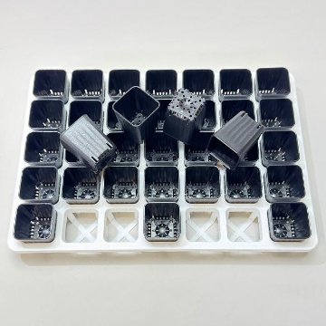 ミニプラ鉢1号・1.3号鉢対応-白色ミニトレイ-35(5×7)鉢用＋1.3号スマートロング-ミニスリット深鉢50型-黒(トレイ1枚＋35鉢付きで1セット)の画像