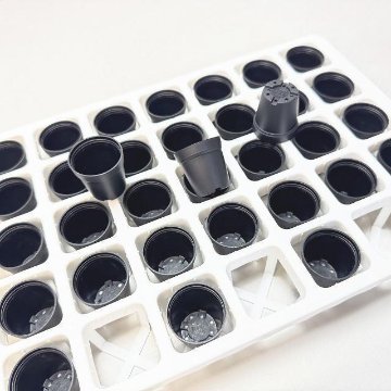 1号鉢＋ミニプラ鉢1号・1.3号鉢対応-白色ミニトレイ-35(5×7)鉢用(35鉢＋トレイ1枚付きで1セット)の画像