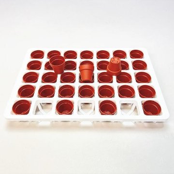 1号鉢＋ミニプラ鉢1号・1.3号鉢対応-白色ミニトレイ-35(5×7)鉢用(35鉢＋トレイ1枚付きで1セット)の画像