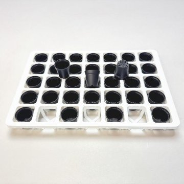 1号鉢＋ミニプラ鉢1号・1.3号鉢対応-白色ミニトレイ-35(5×7)鉢用(35鉢＋トレイ1枚付きで1セット)の画像