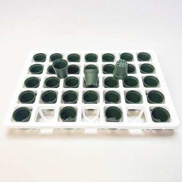 1号鉢＋ミニプラ鉢1号・1.3号鉢対応-白色ミニトレイ-35(5×7)鉢用(35鉢＋トレイ1枚付きで1セット)の画像