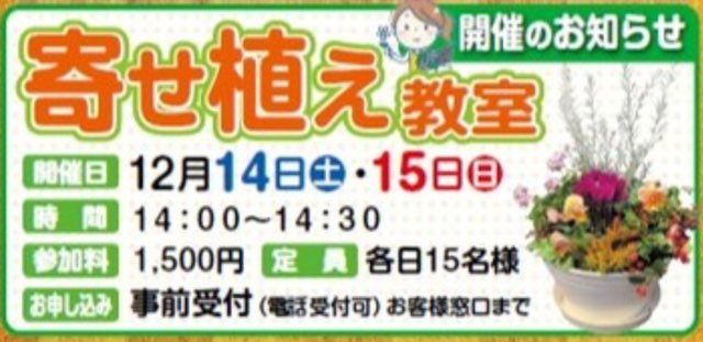 フラワーショップ江口＠ミニテラコッタ鉢・多肉サボテン培養土・小袋用土・受け皿他