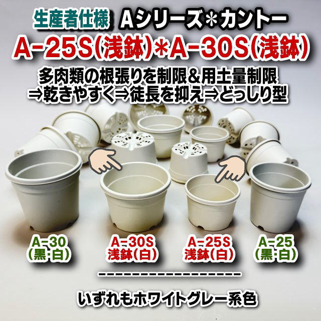 フラワーショップ江口＠生産者仕様のプラ鉢＋園芸トレイのセット