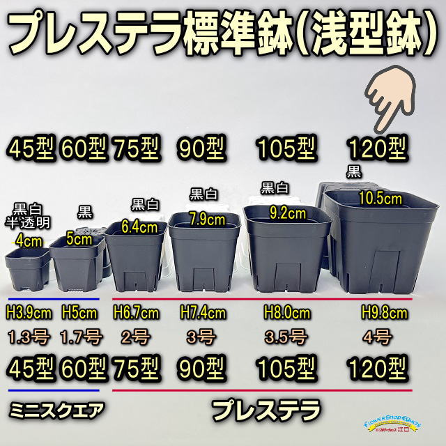すぅでお願いします縦スリットタイプテラコッタ小サイズ入荷！以前より少し フラワーショップ江口＠ミニテラコッタ鉢・多肉サボテン培養土・小袋
