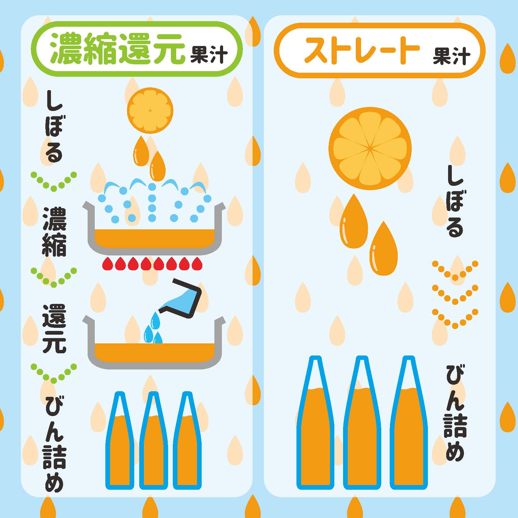 みかんのまんま。【しらぬい】2022の画像