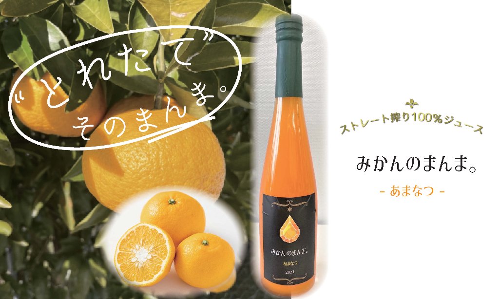 みかんのまんま。【あまなつ】2022の画像