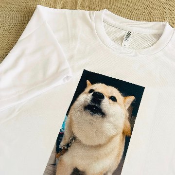 Ｔシャツ白　写真プリント　昇華転写カラープリントの画像