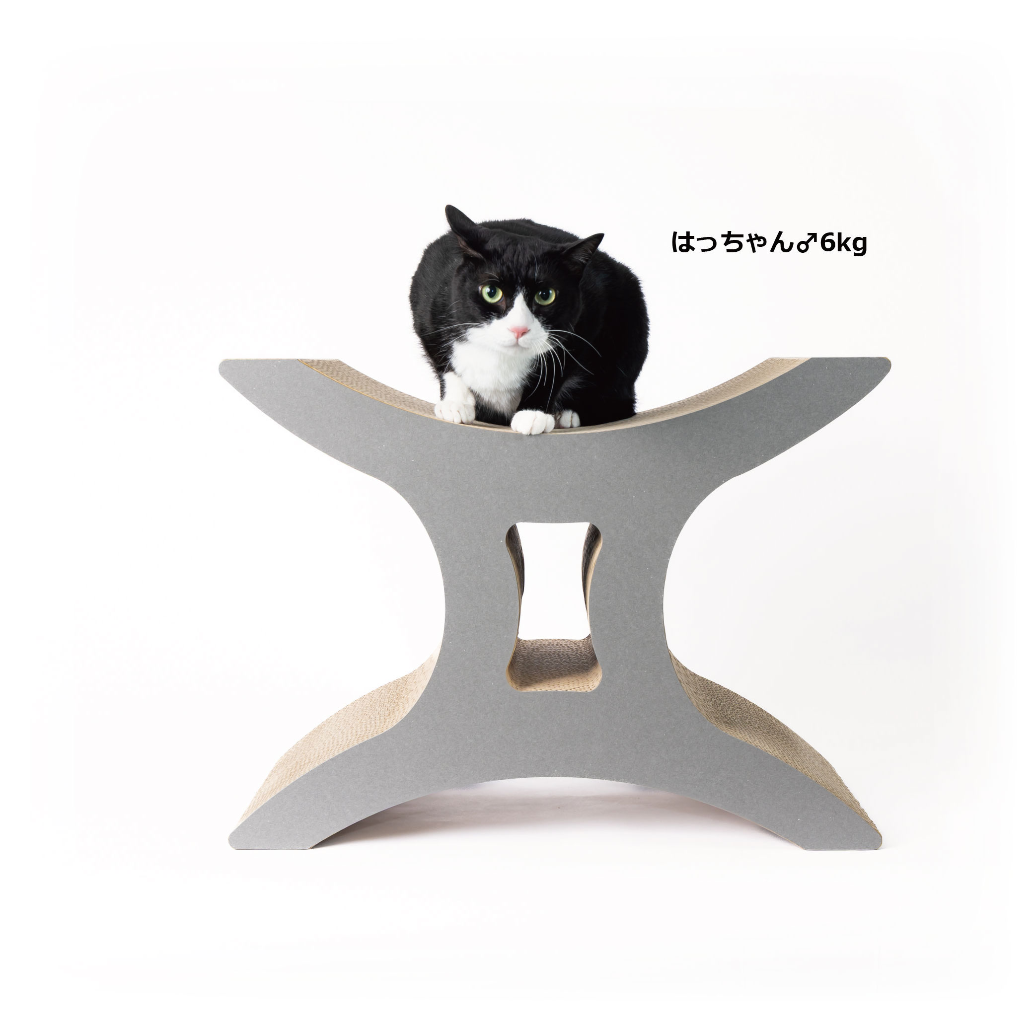 スツールXの画像