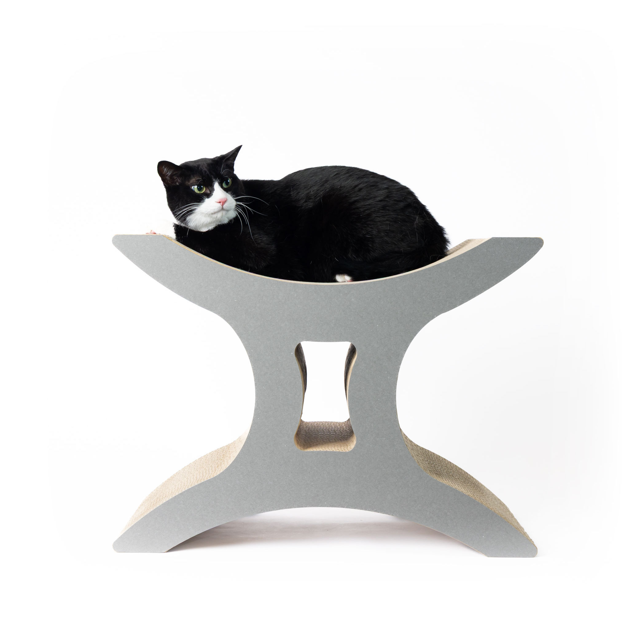 スツールXの画像