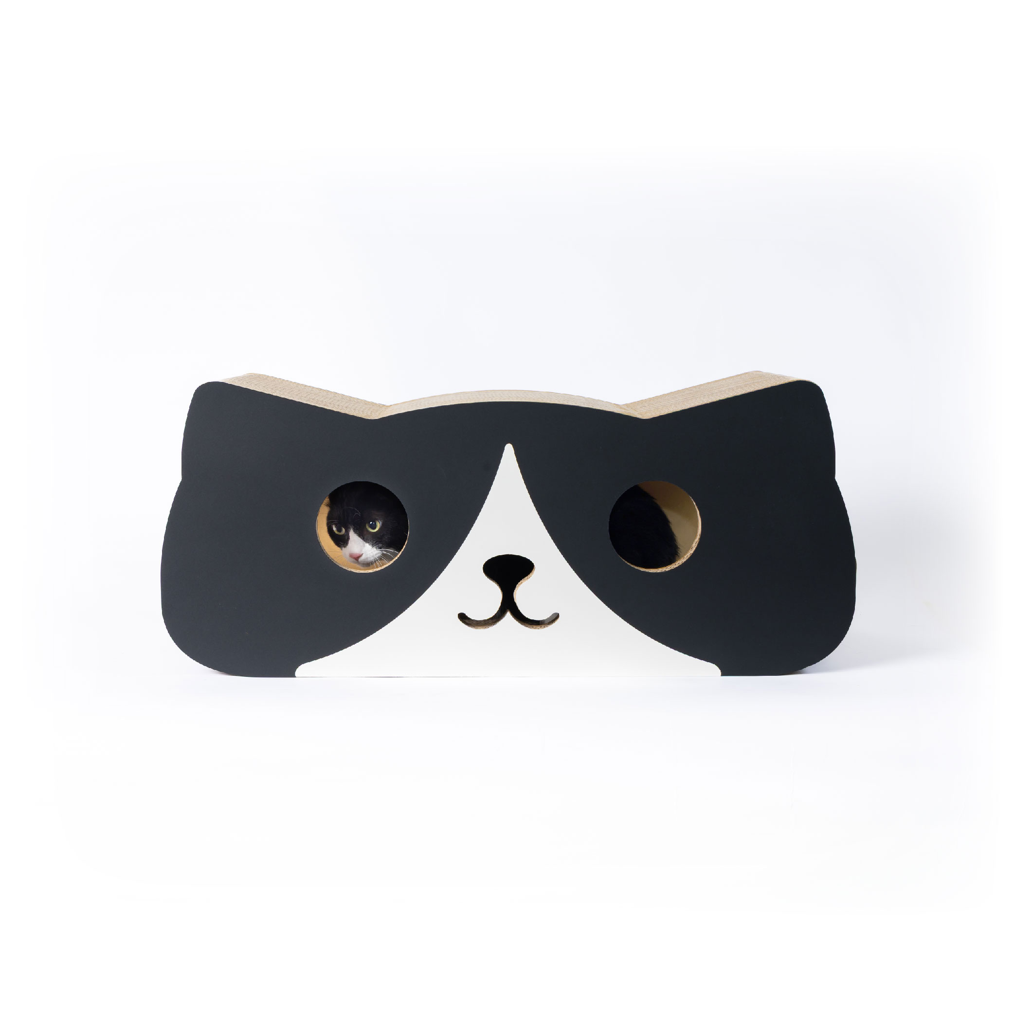 ハチワレの画像